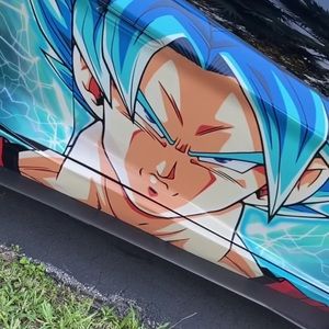 Meet your Posher, Janelley